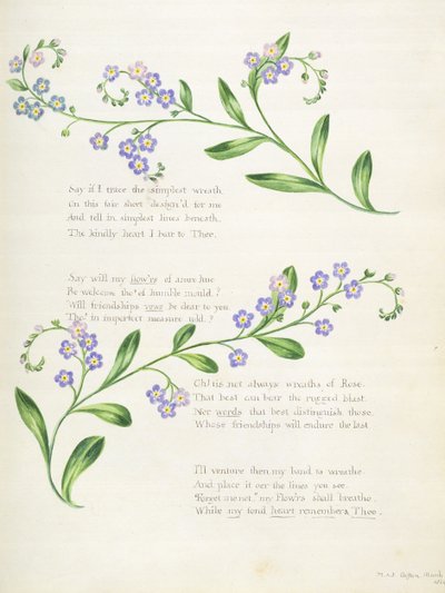 Poetry, from an 